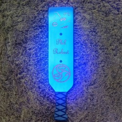 PHIL ROBERT (XL À CLOUS FLUO)