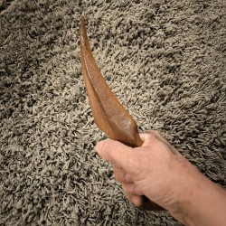 COUTEAU ALIEN (AFRORMORSIA)