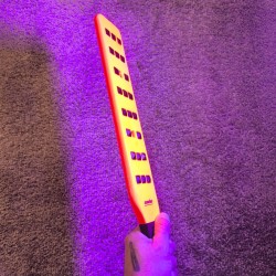 MISTRESS CAT BANGKOK & BOITE DE PRÉSENTATION (STANDARD À CLOUS FLUO)