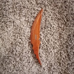 LE BOOMERANG 2 (SAPELLI)