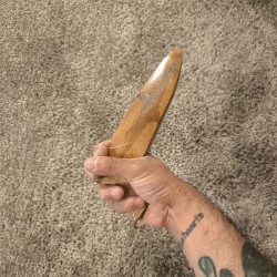 PAIRE LES SHARKS ET LEUR BOITE DE PRÉSENTATION (ACACIA)